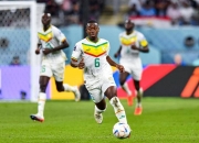 非洲球队蓄势待发，目击晋级四强